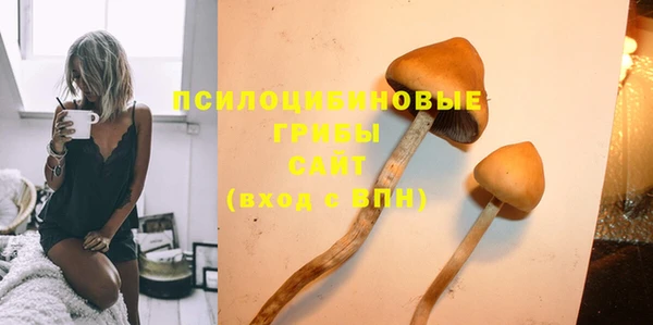 PSILOCYBIN Бронницы